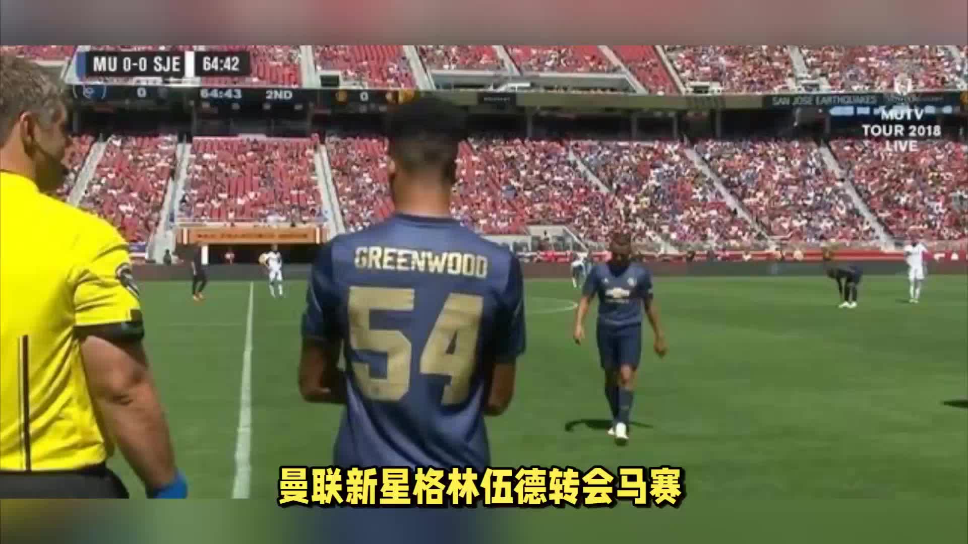 有着相